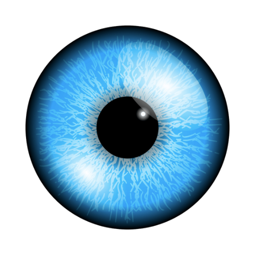 Glitzderm Vision