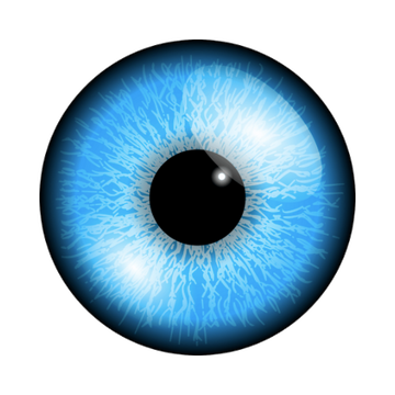 Glitzderm Vision
